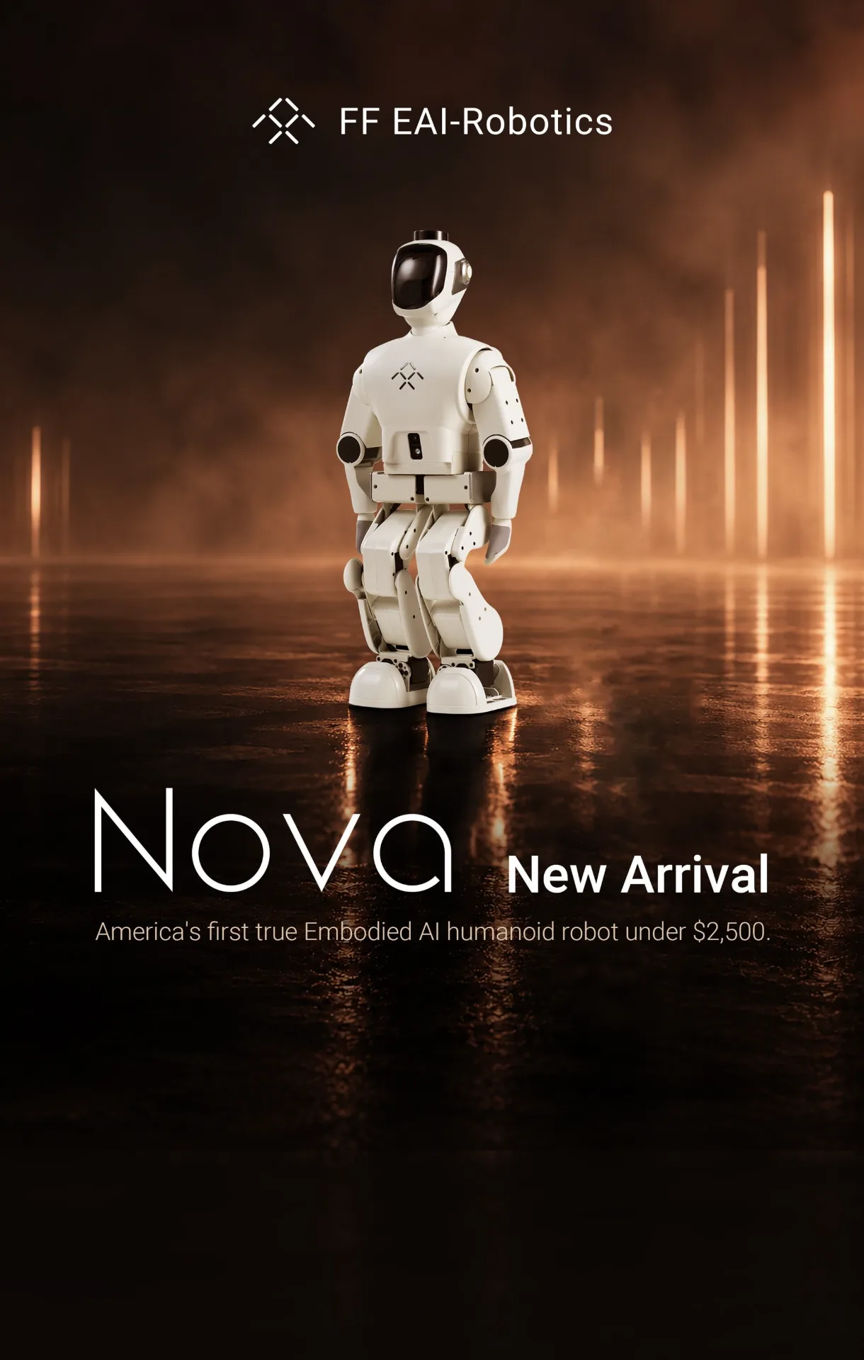 FF Nova image 5