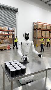 Doozy-V1 image 3