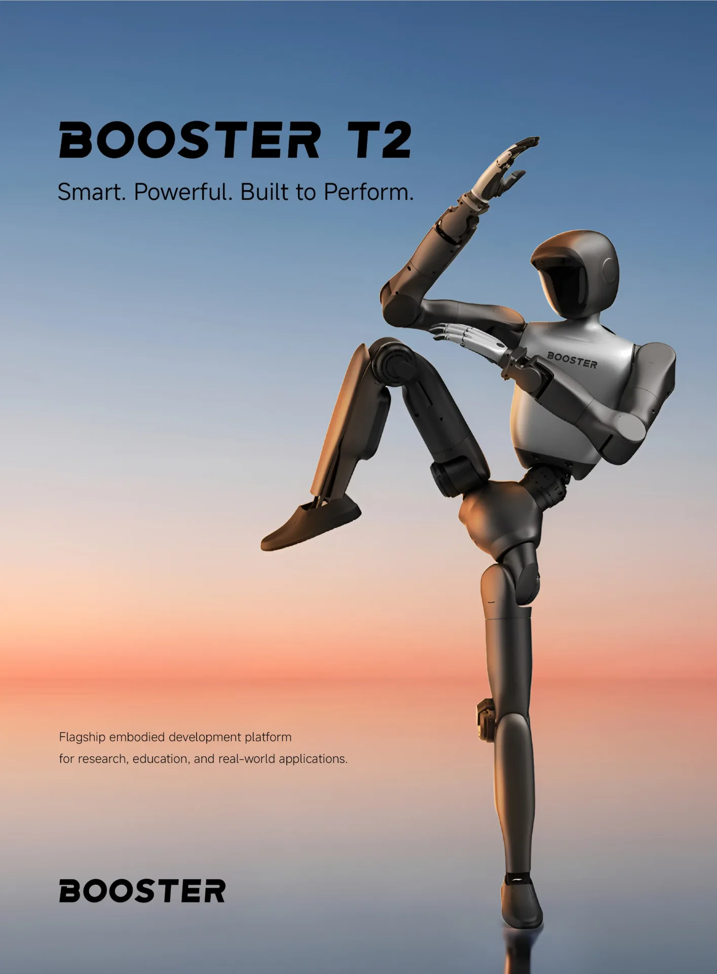Booster T2 image 3