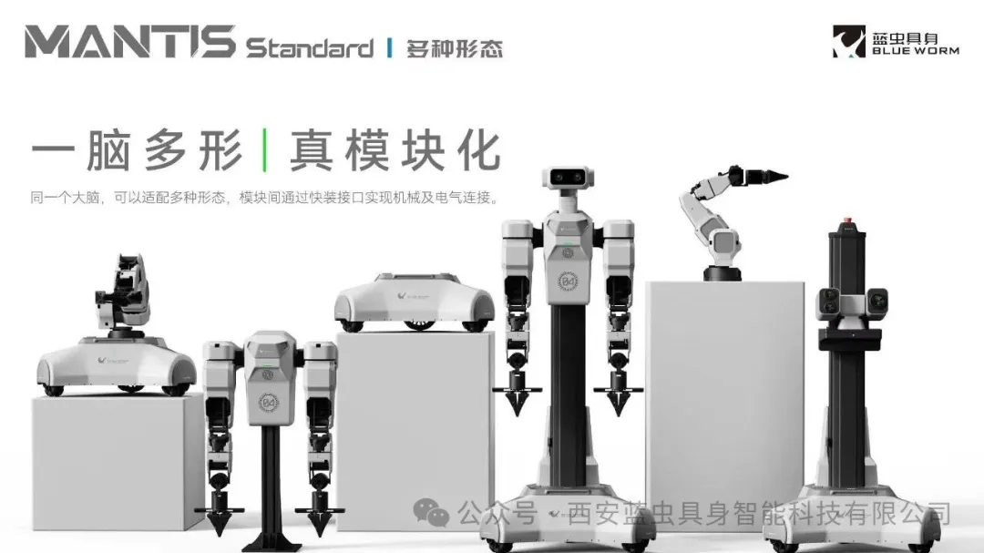 Mantis Standard image 4