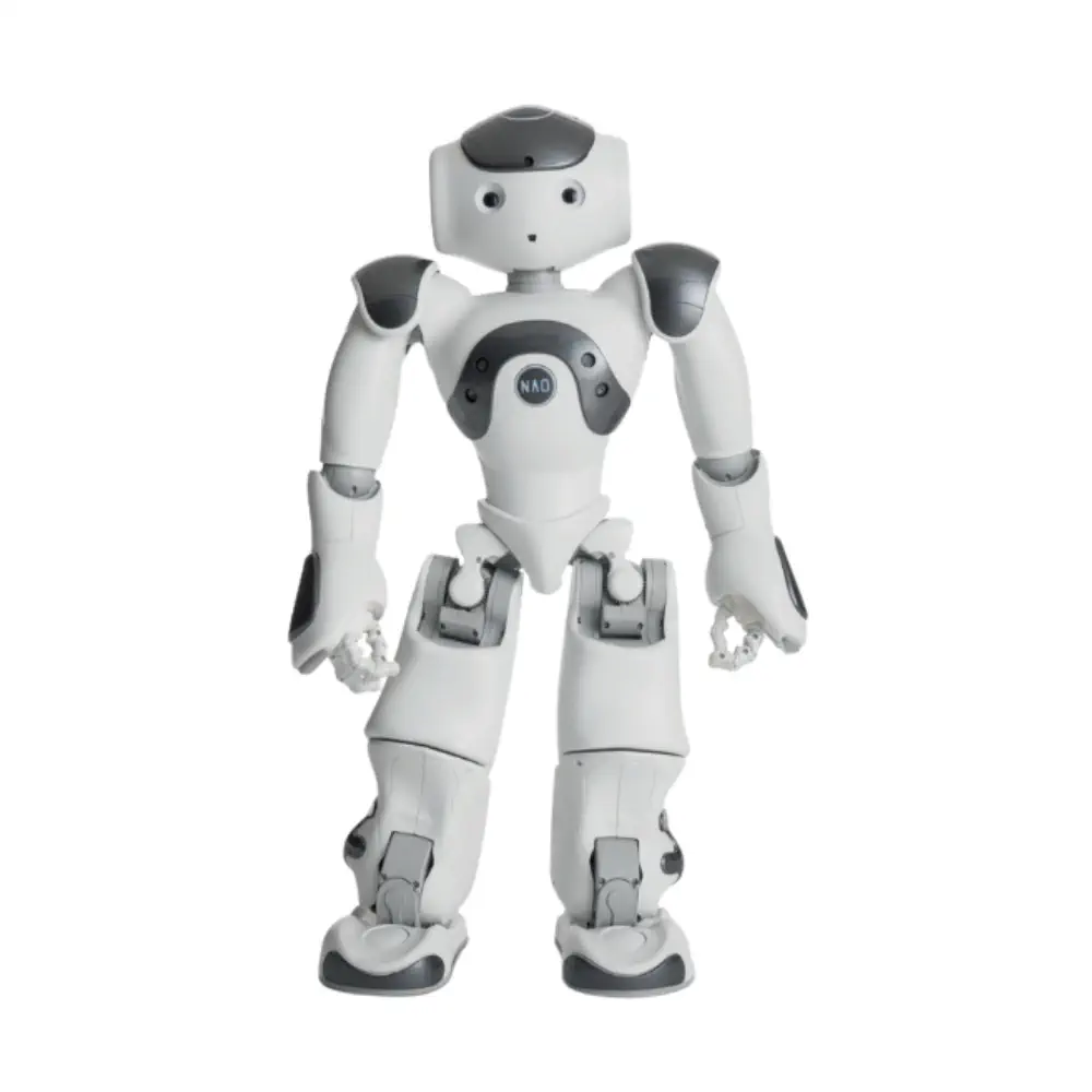 NAO image 1